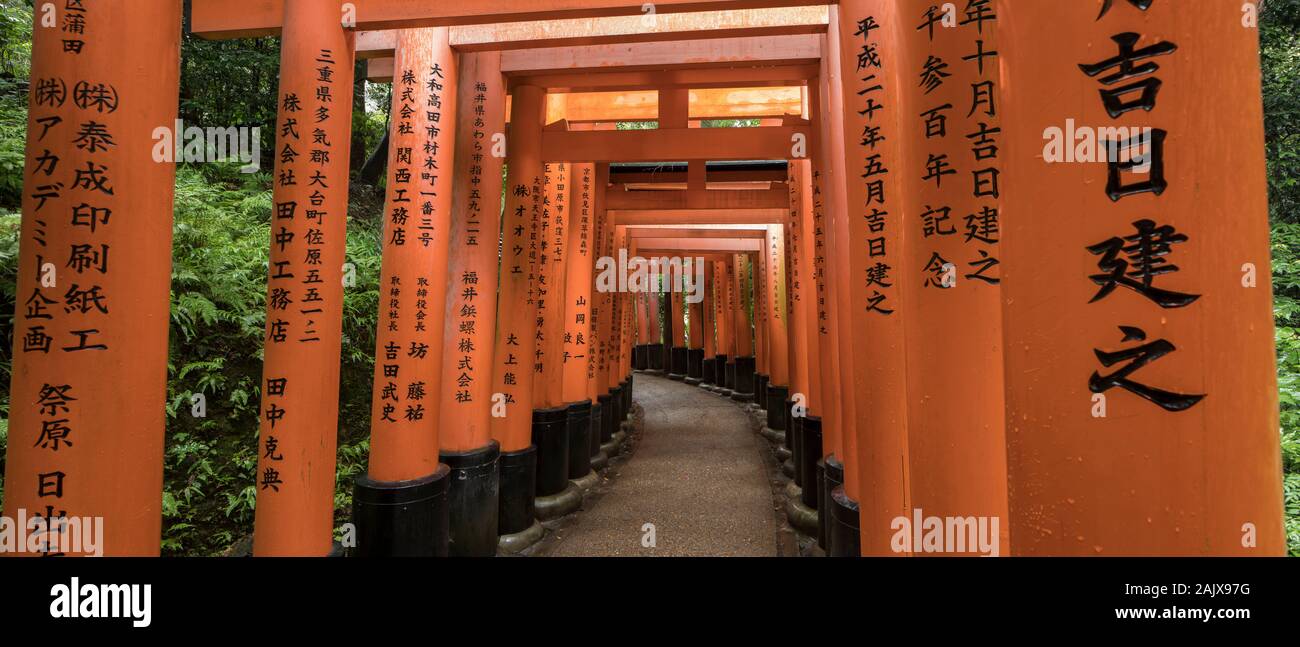 Fushimi Inari Taisha Is The Head Shrine Of The Kami Inari Located In Fushimi Ku Kyoto Kyoto Prefecture Japan Stock Photo Alamy Fushimi Inari Taisha Is The Head Shrine Of The Kami Inari Located In Fushimi Ku Kyoto Kyoto Prefecture Japan Stock Photo Alamy