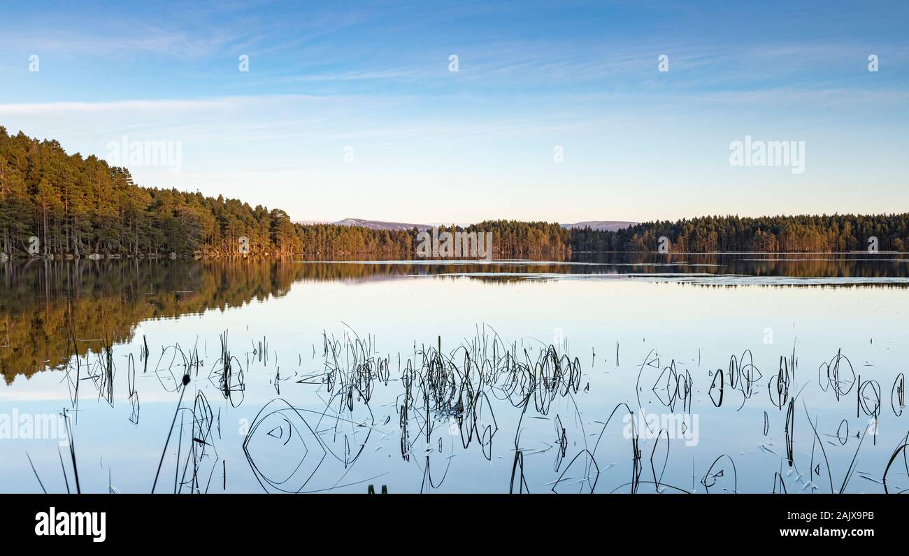 Loch an Eilein in the Cairngorms National Park of Scotland. Stock Photo