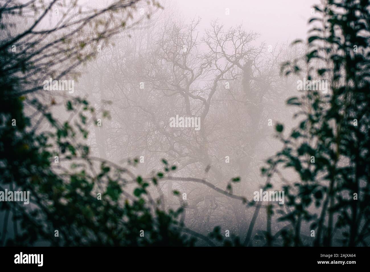 in the fog , hendaye - france Stock Photo