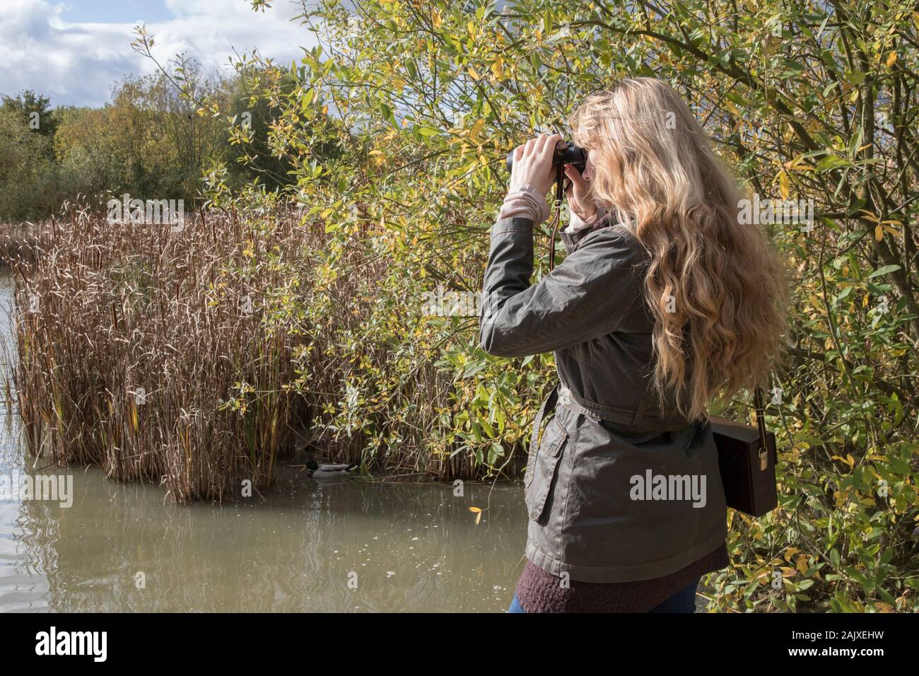 Lady bird watching using binoculars Stock Photo Alamy