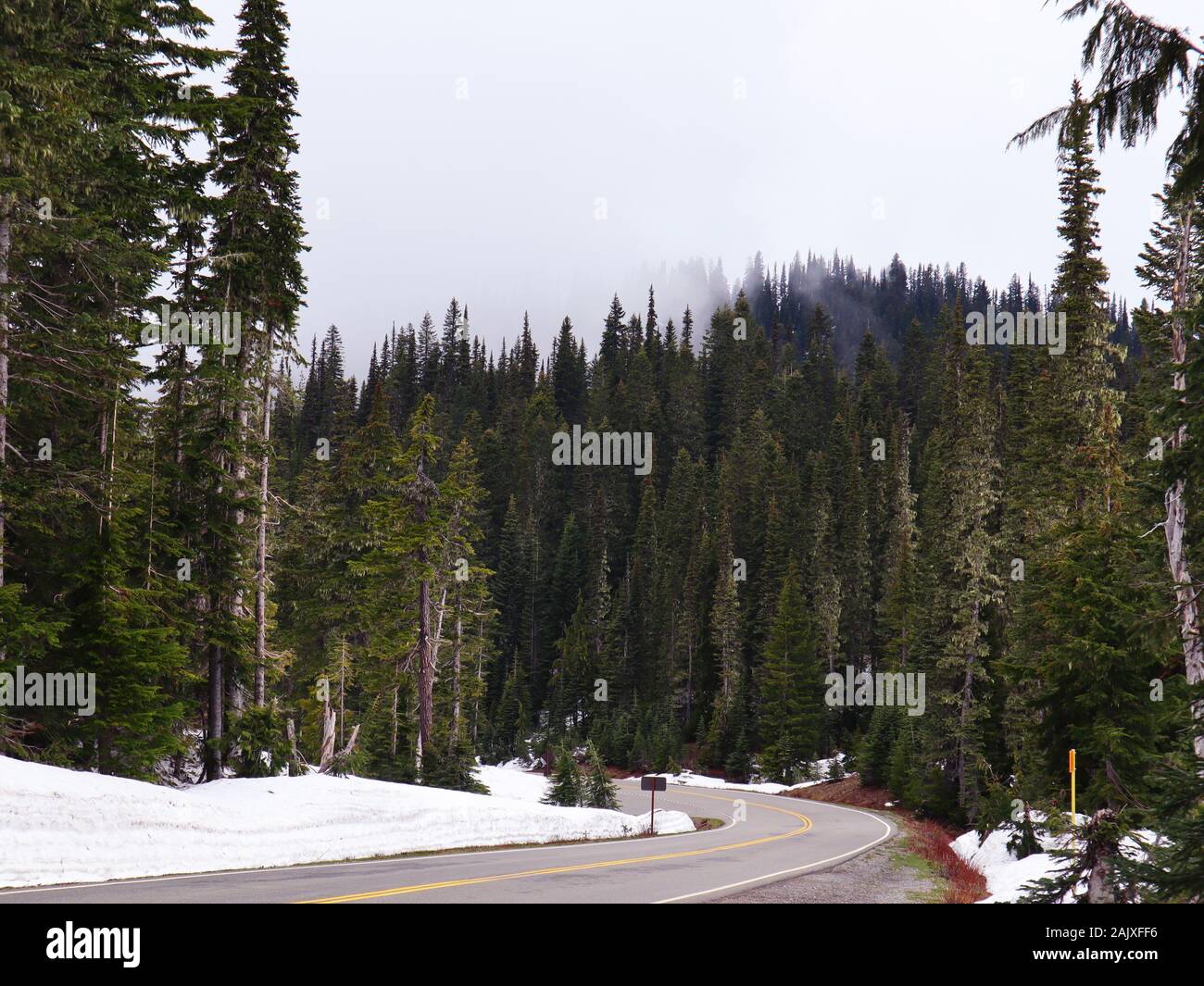 mount rainier road Stock Photo - Alamy