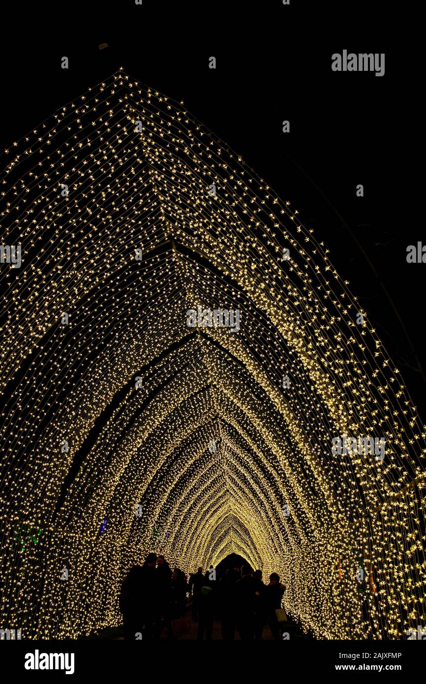 The illuminated Cathedral on the Blenheim Palace Christmas light trail Stock Photo Alamy