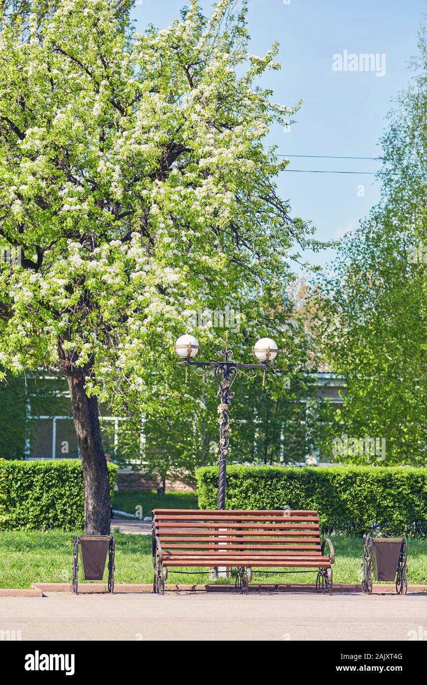 Empty footpath under trees hi-res stock photography and images - Alamy