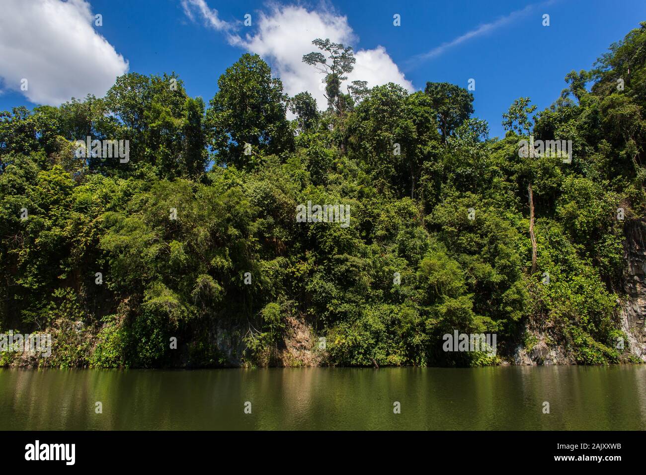 Quarry landscape to relax or distress through nature, Bukit Batok Nature Park, Singapore Stock Photo