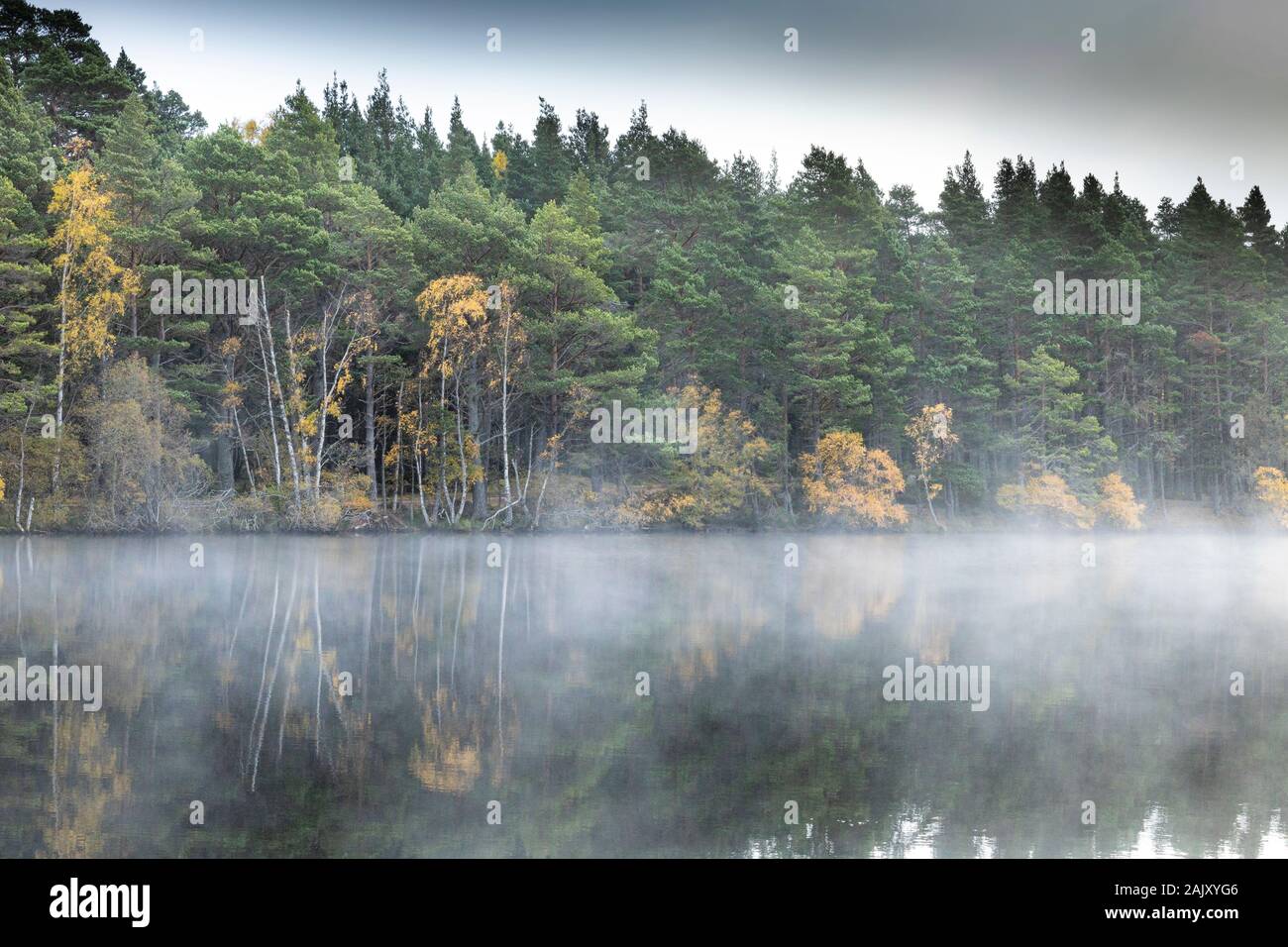 Mist on Loch Garten in the Cairngorms National park of Scotland. Stock Photo