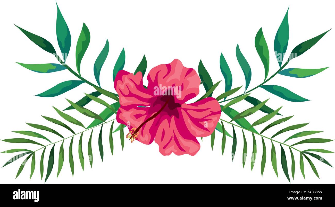 flower of pink color with branches and leafs Stock Vector Image & Art ...
