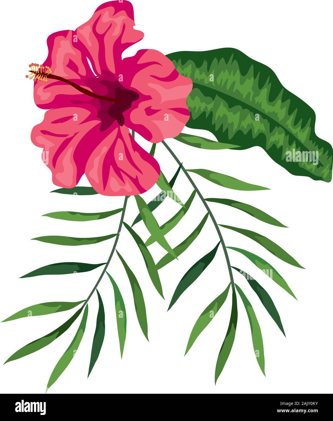 flower of pink color with branches and leafs Stock Vector Image & Art ...