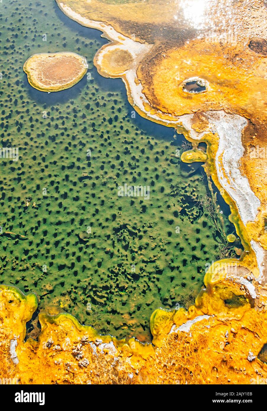 Natural pattern in the Yellowstone National Park of some hot spring water Stock Photo