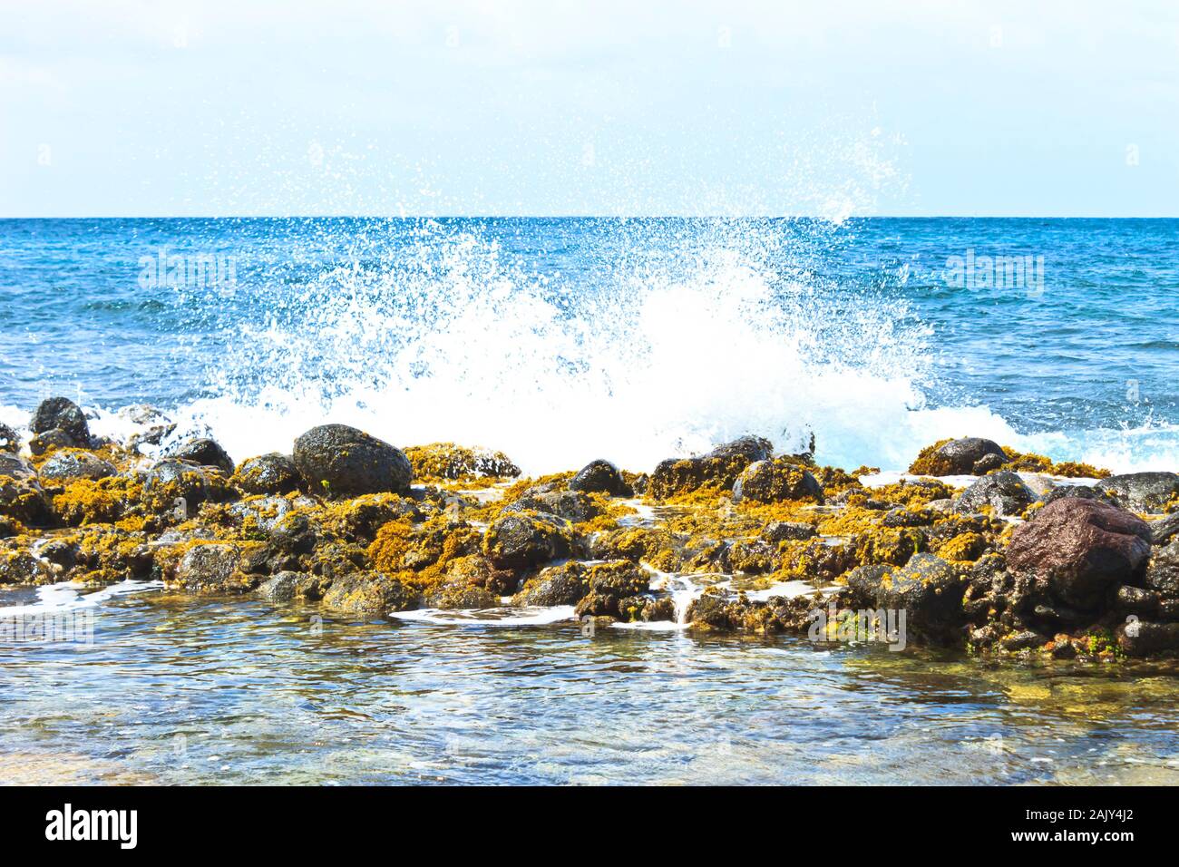 Wave splash on rock barrier covered with weathered sea weed Stock Photo