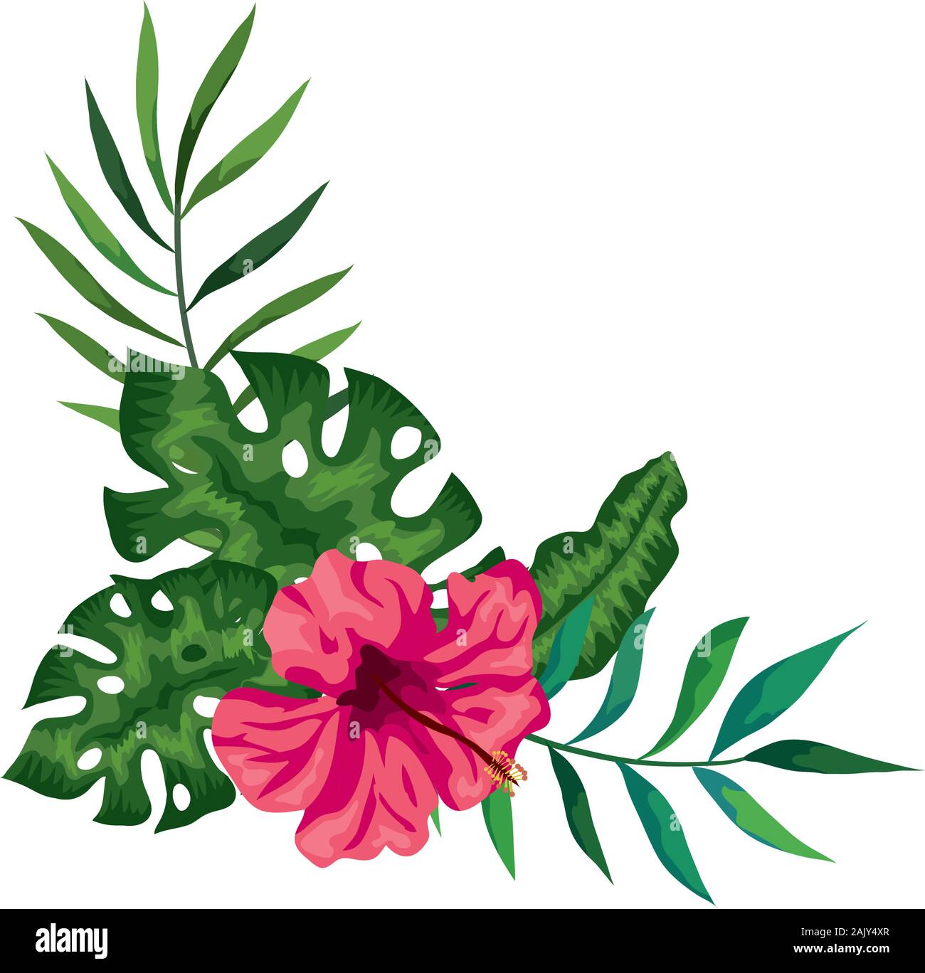 flower of pink color with branches and leafs Stock Vector Image & Art ...