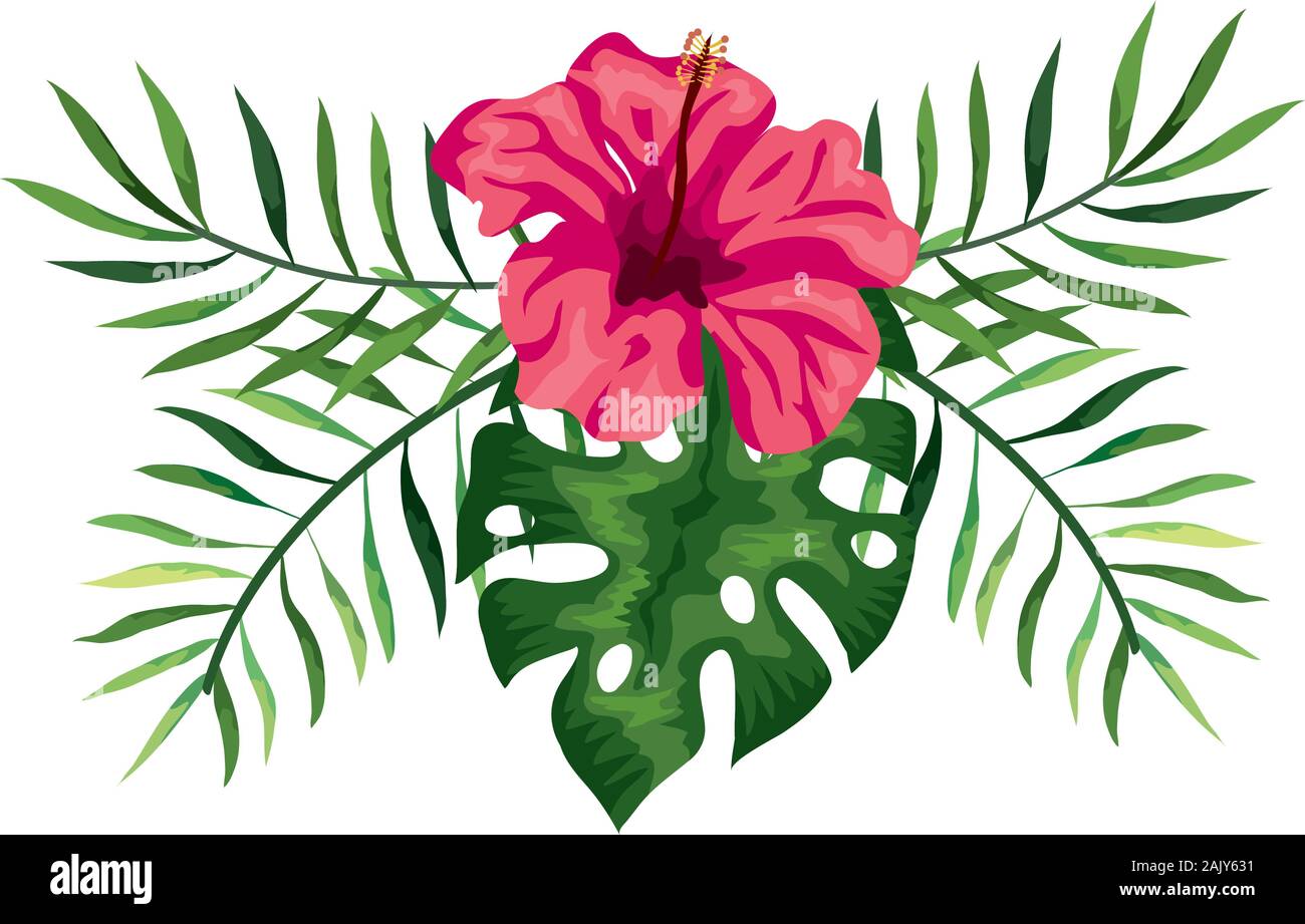 flower of pink color with branches and leafs Stock Vector Image & Art ...