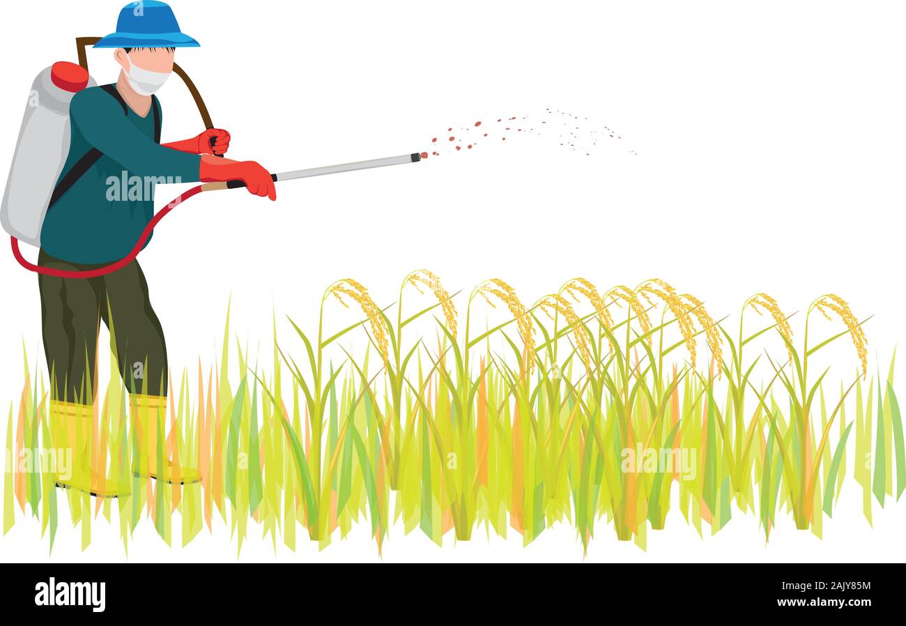 farmer manure into rice plant vector design Stock Vector Image & Art ...