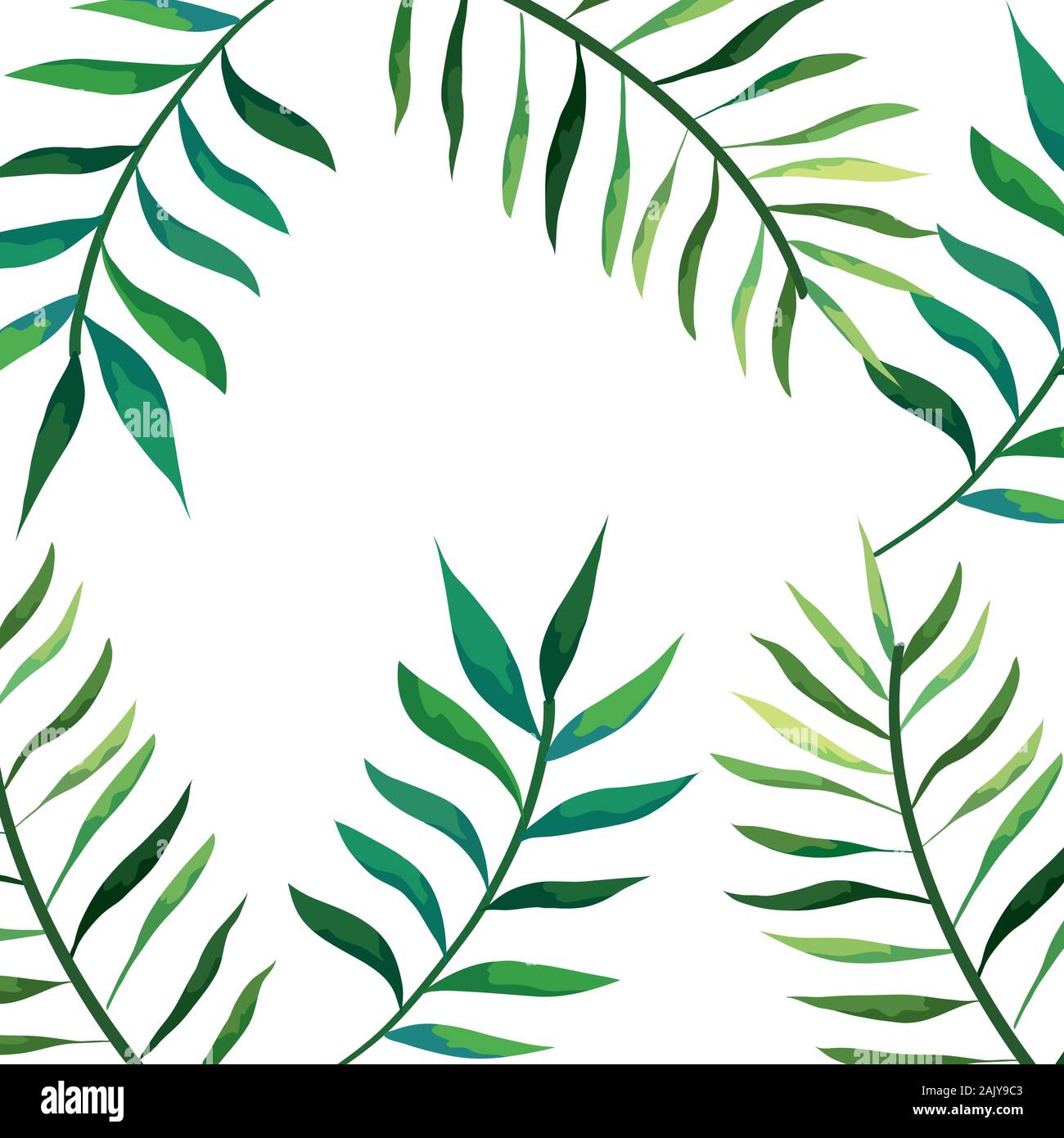 frame with leafs tropical isolated icon Stock Vector Image & Art - Alamy