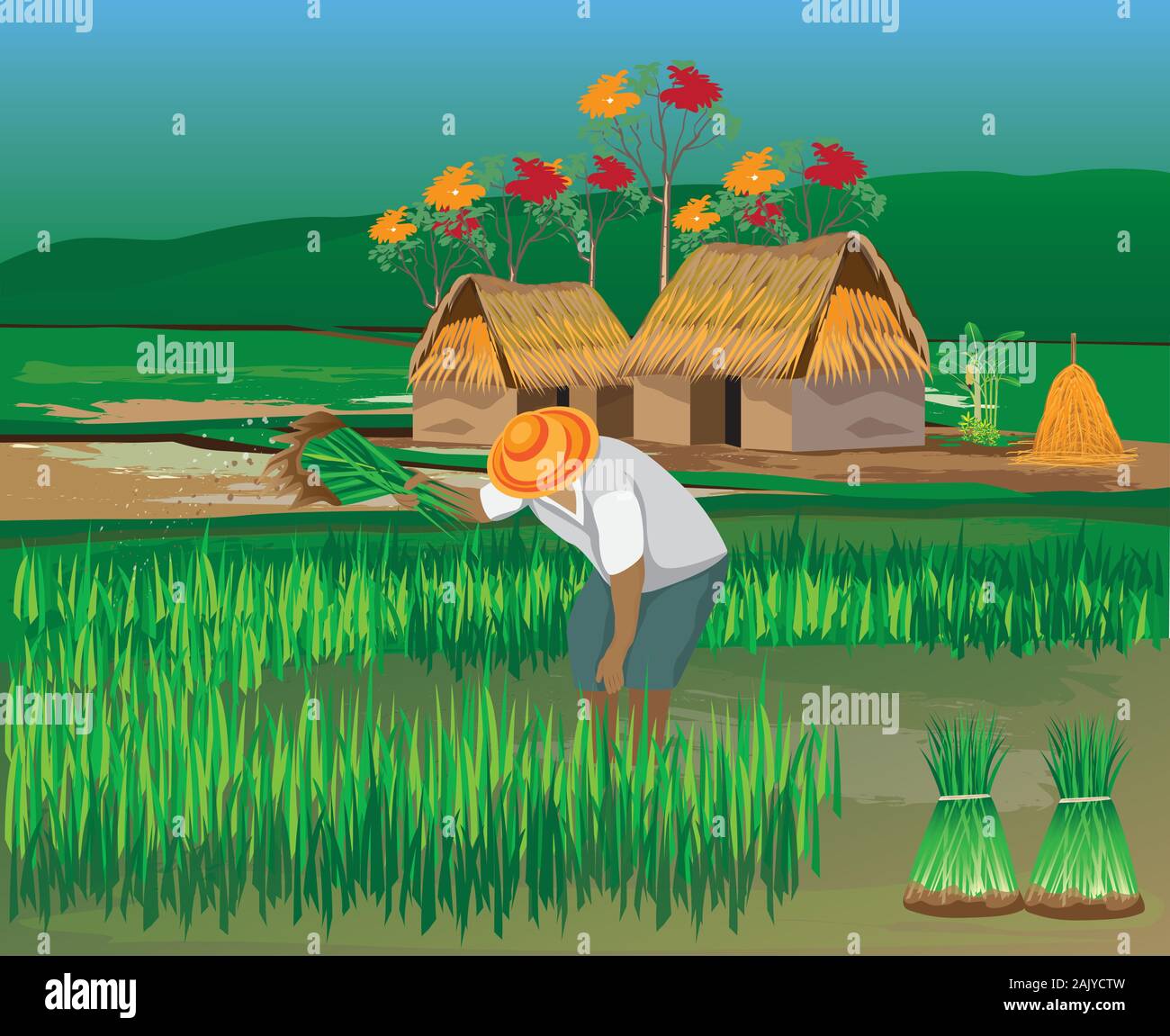 farmer work in paddy field vector design Stock Vector Image & Art - Alamy