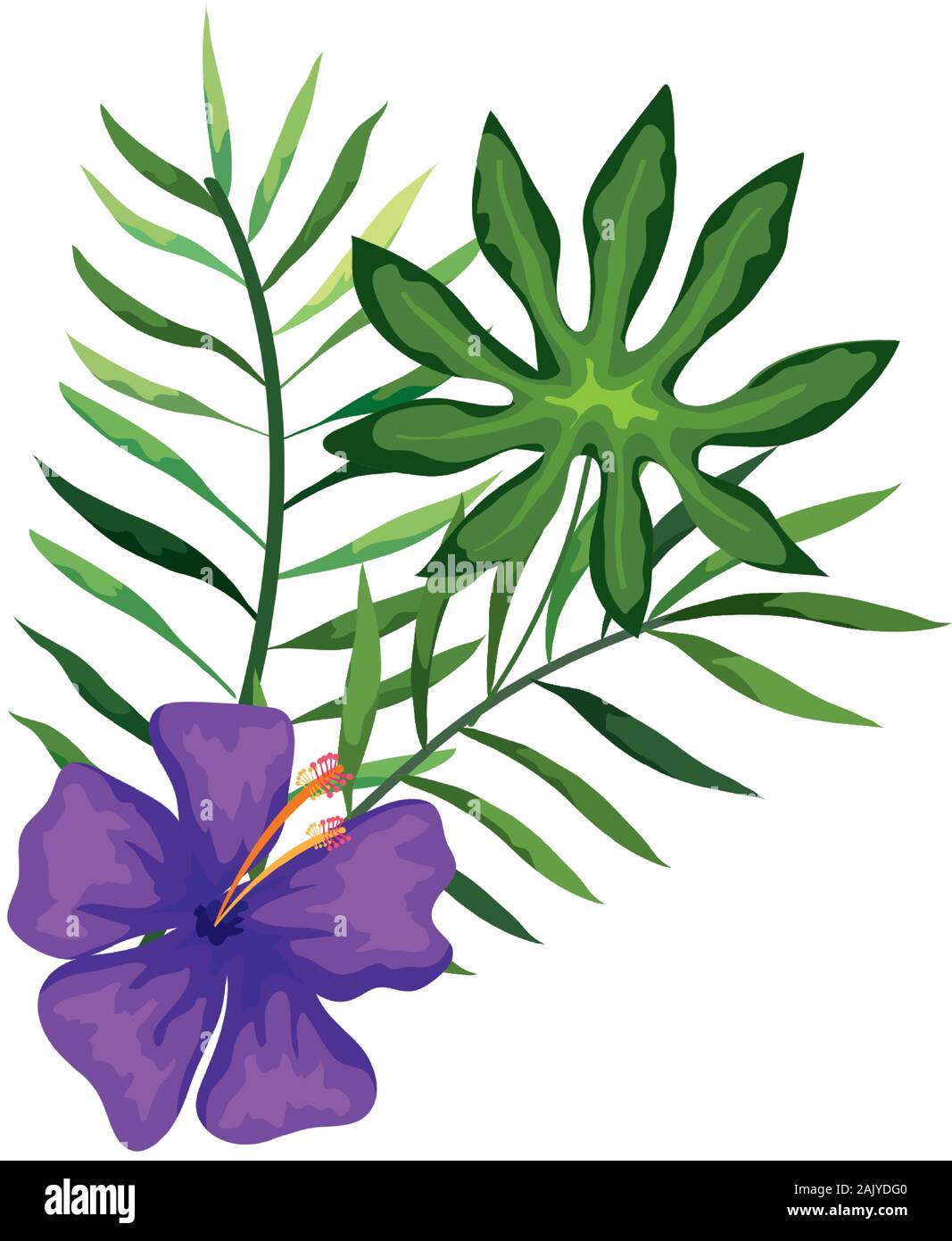 flower of purple color with branches and leafs Stock Vector Image & Art ...