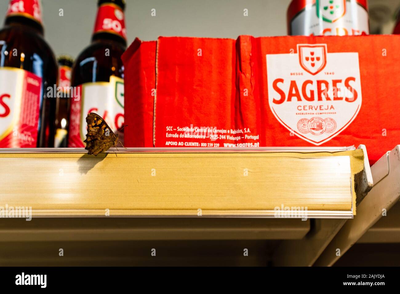 Butterfly sitting on a beer shelf in grocery store. Stock Photo