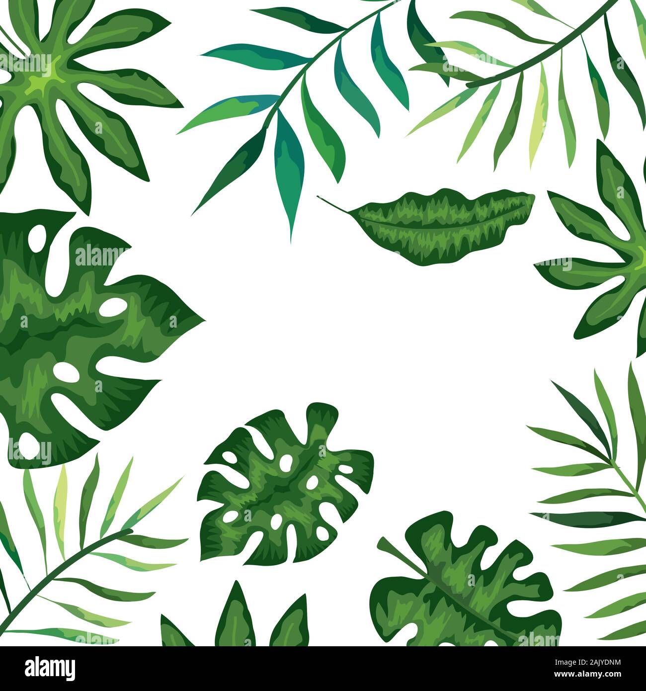 frame with branches and leafs tropicals Stock Vector Image & Art - Alamy