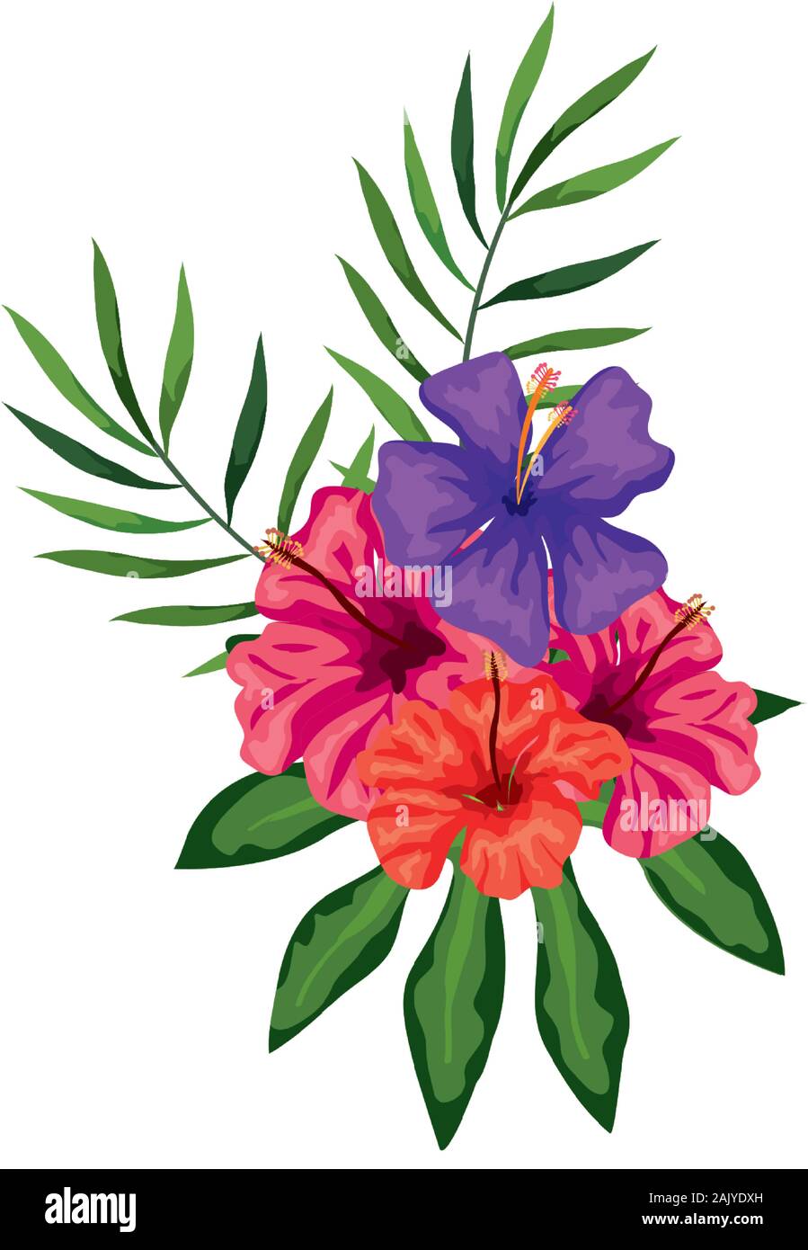 flowers with branches and leafs nature Stock Vector Image & Art - Alamy
