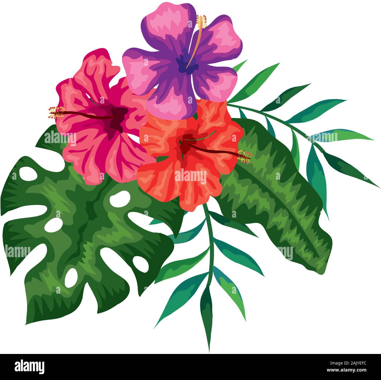 flowers with branches and leafs nature Stock Vector Image & Art - Alamy