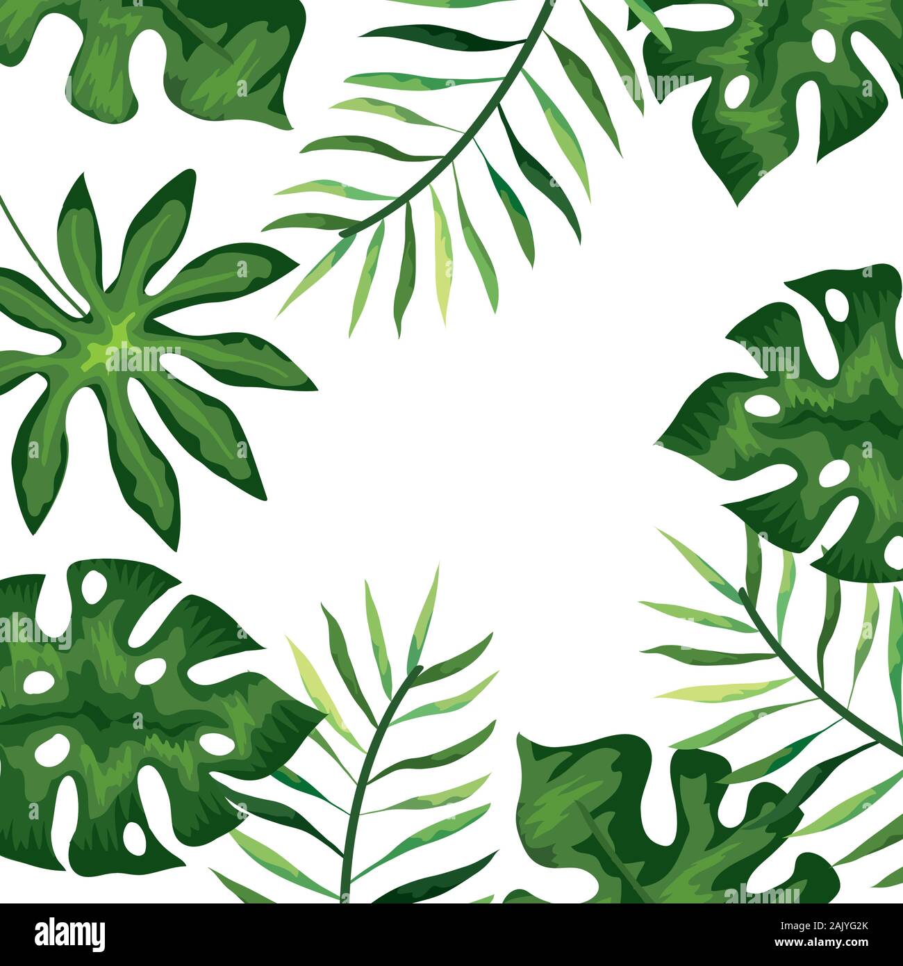 frame with branches and leafs tropicals Stock Vector Image & Art - Alamy