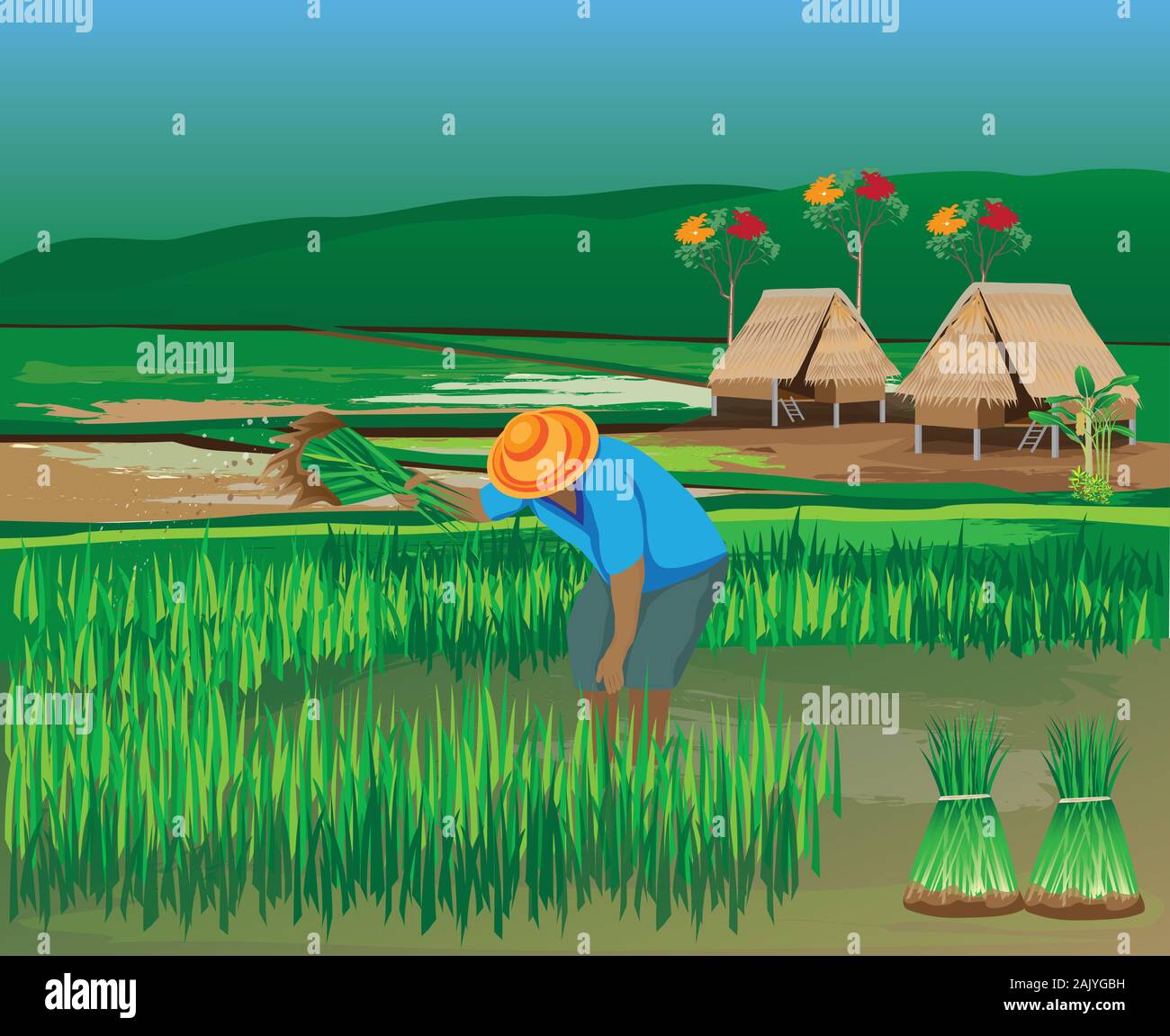 farmer work in paddy field vector design Stock Vector Image & Art - Alamy