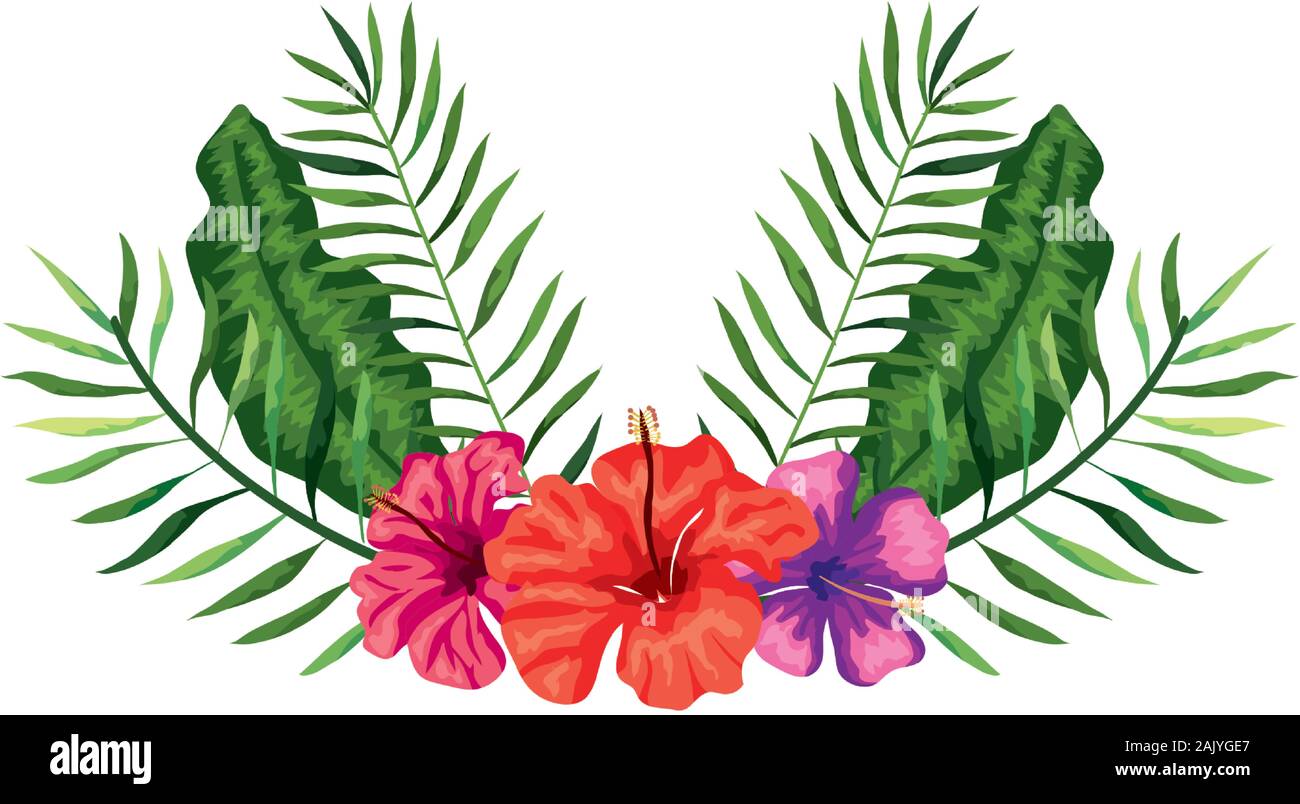 flowers with branches and leafs nature Stock Vector Image & Art - Alamy