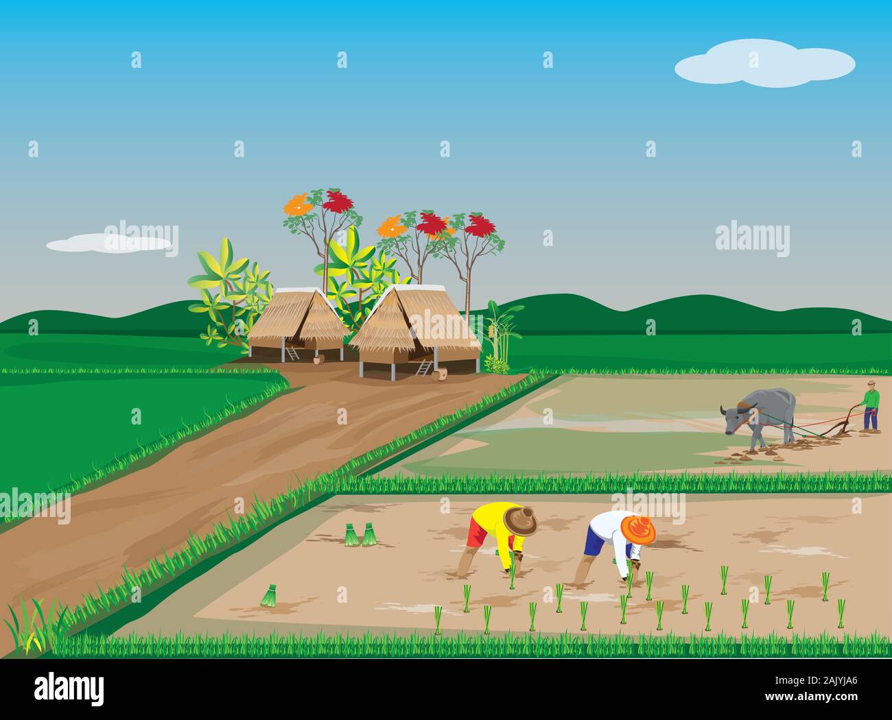 farmer work in paddy field vector design Stock Vector Image & Art - Alamy