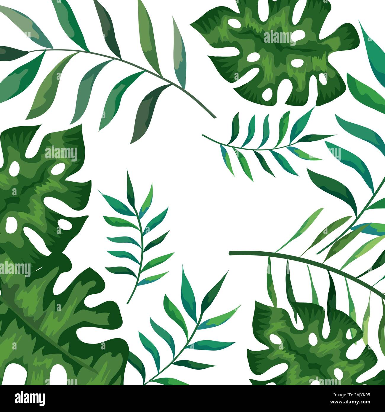frame with branches and leafs tropicals Stock Vector Image & Art - Alamy