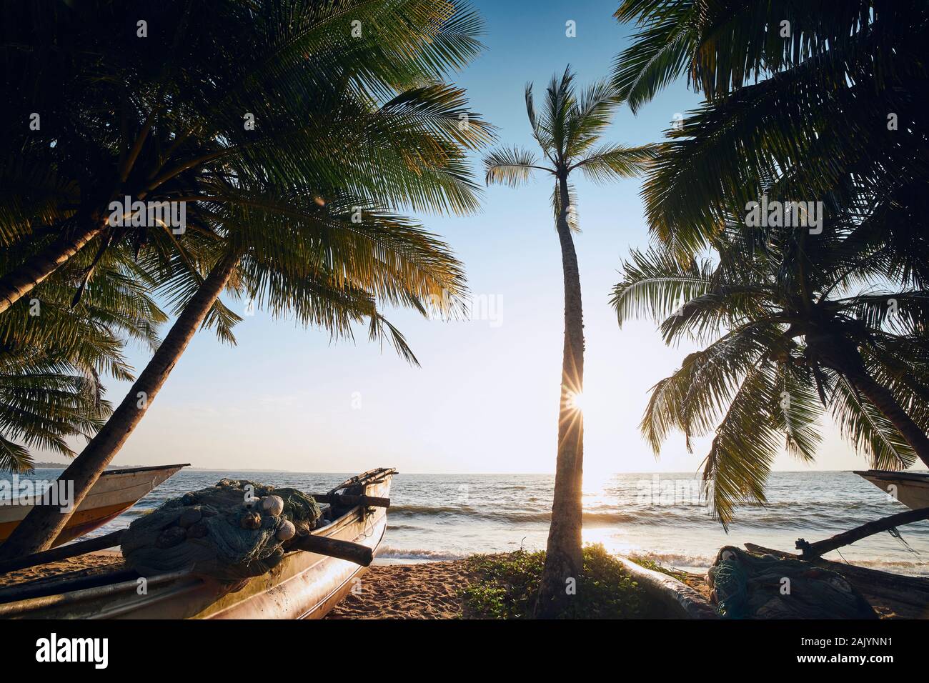 Traditional fishing boats under palm trees against sea. Tropical beach ...