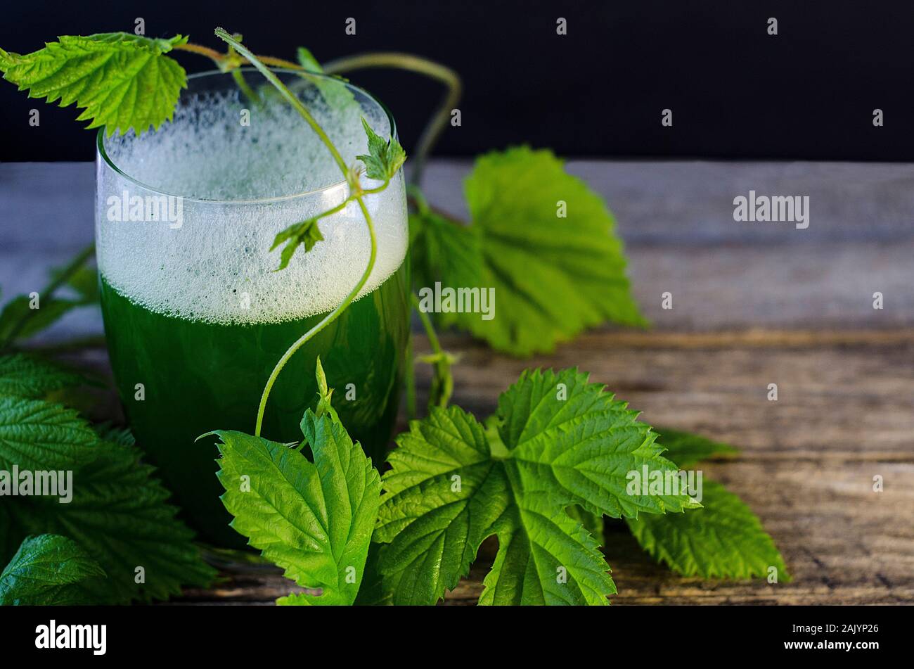 Holiday St. Patrick's Day. Green beer with a hop branch on a gray wooden background with copy space. March 17. Stock Photo