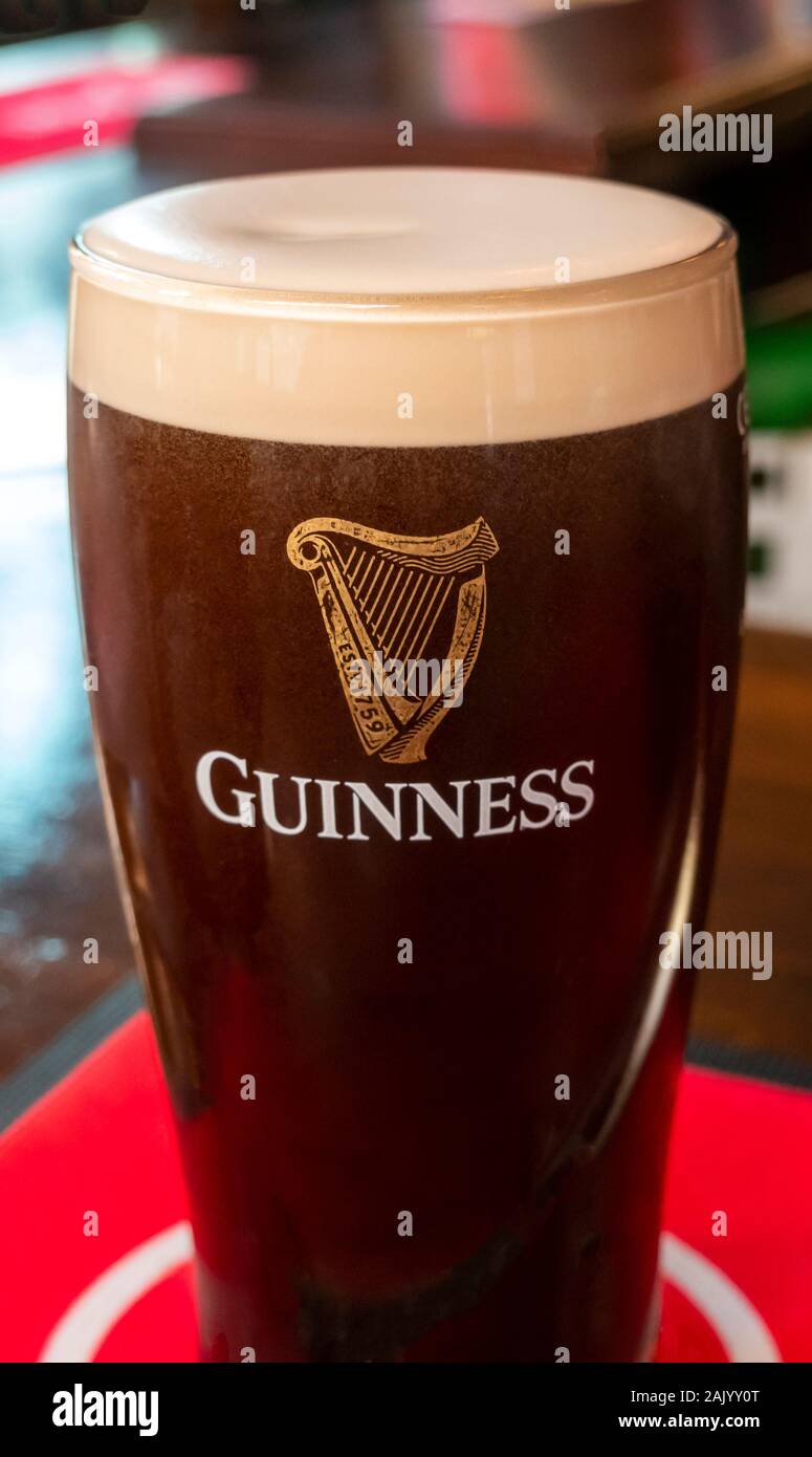 A pint of Guinness stout in a tall thin tulip glass Stock Photo