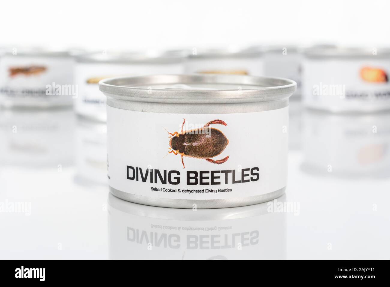 Tin of edible insects / novelty food - Diving Beetles / Dytiscus species. Concept insects as human food, entomophagy, eating bugs insects. Stock Photo