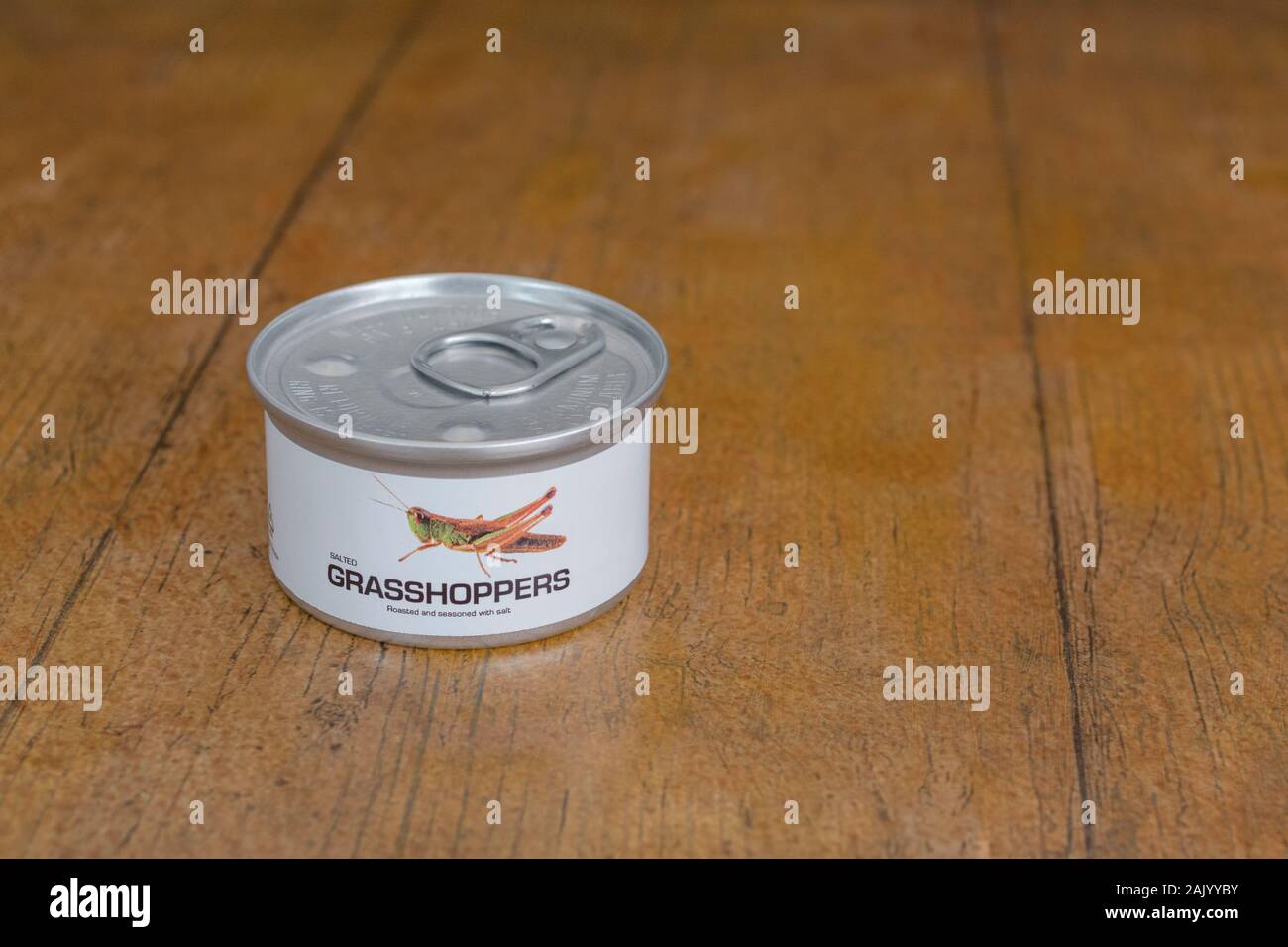 Tin of edible insects / novelty food / Acrididae species