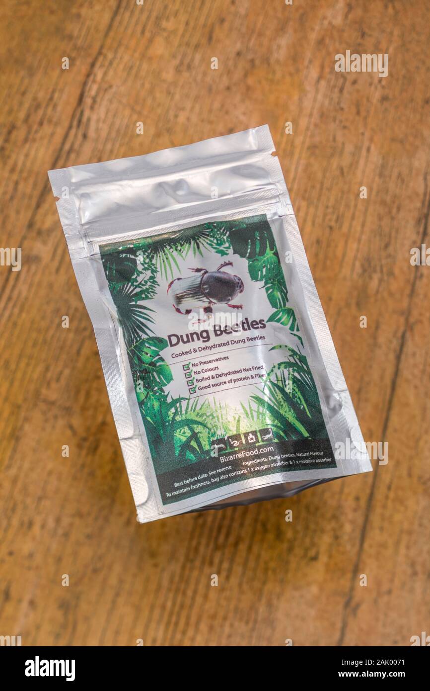 Pack of edible insects / novelty food Dung Beetles / Onitis species