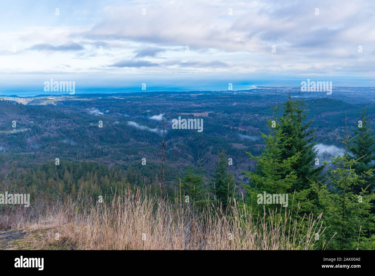 Olympic peninsula, Washington Stock Photo Alamy