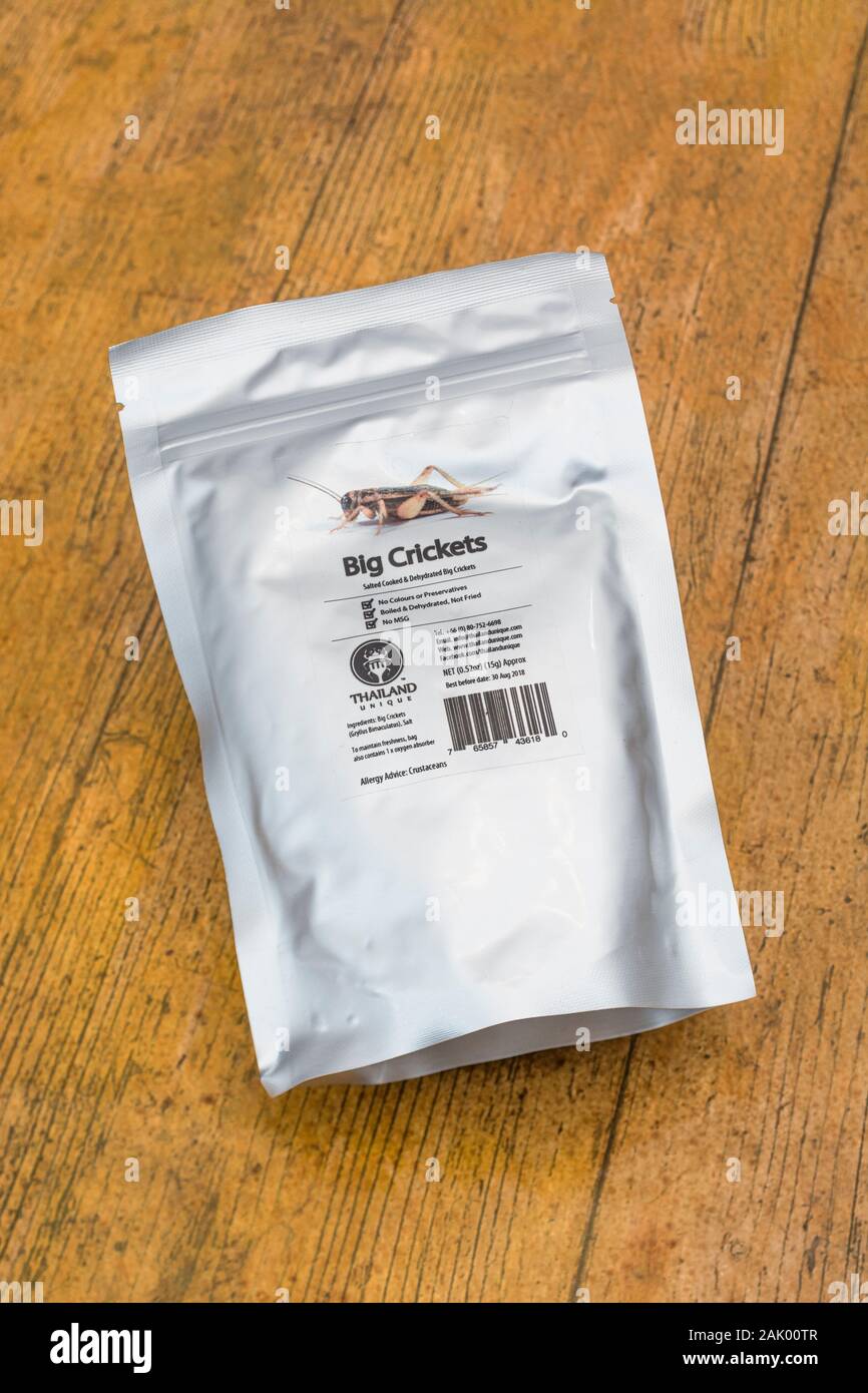 Pack of edible insects / novelty food Black Crickets / Gryllus