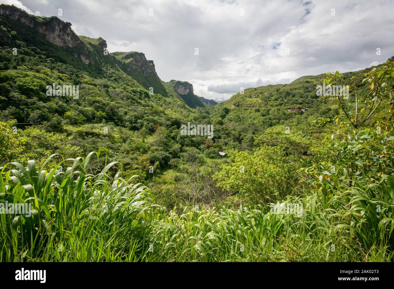 Lush jungle landscape of the Rodriguez de Mendoza region of Amazonas in northern Peru Stock Photo