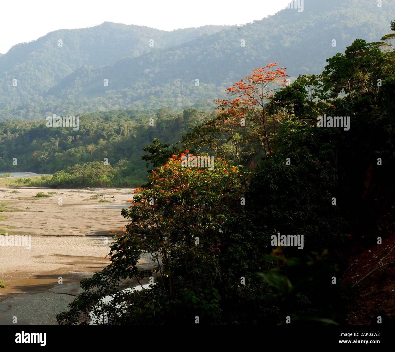 Rio alto madre de dios hires stock photography and images Alamy