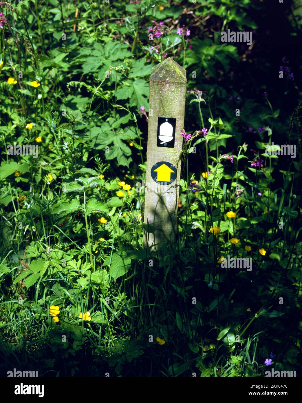 National trail sign, Pembroke Coastal Path, near Newport,  Pembrokeshire, West Wales. Stock Photo