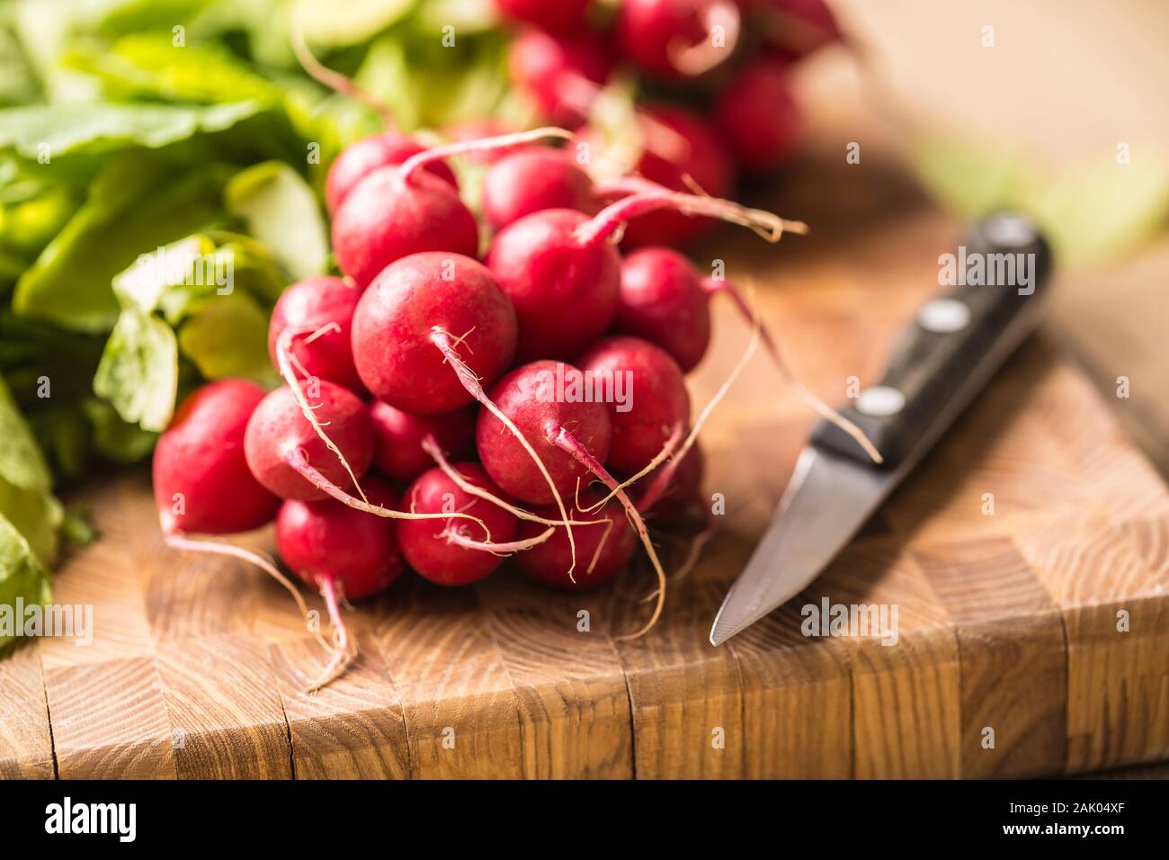 Fresh bundles of radish laid on a kitchen table Stock Photo