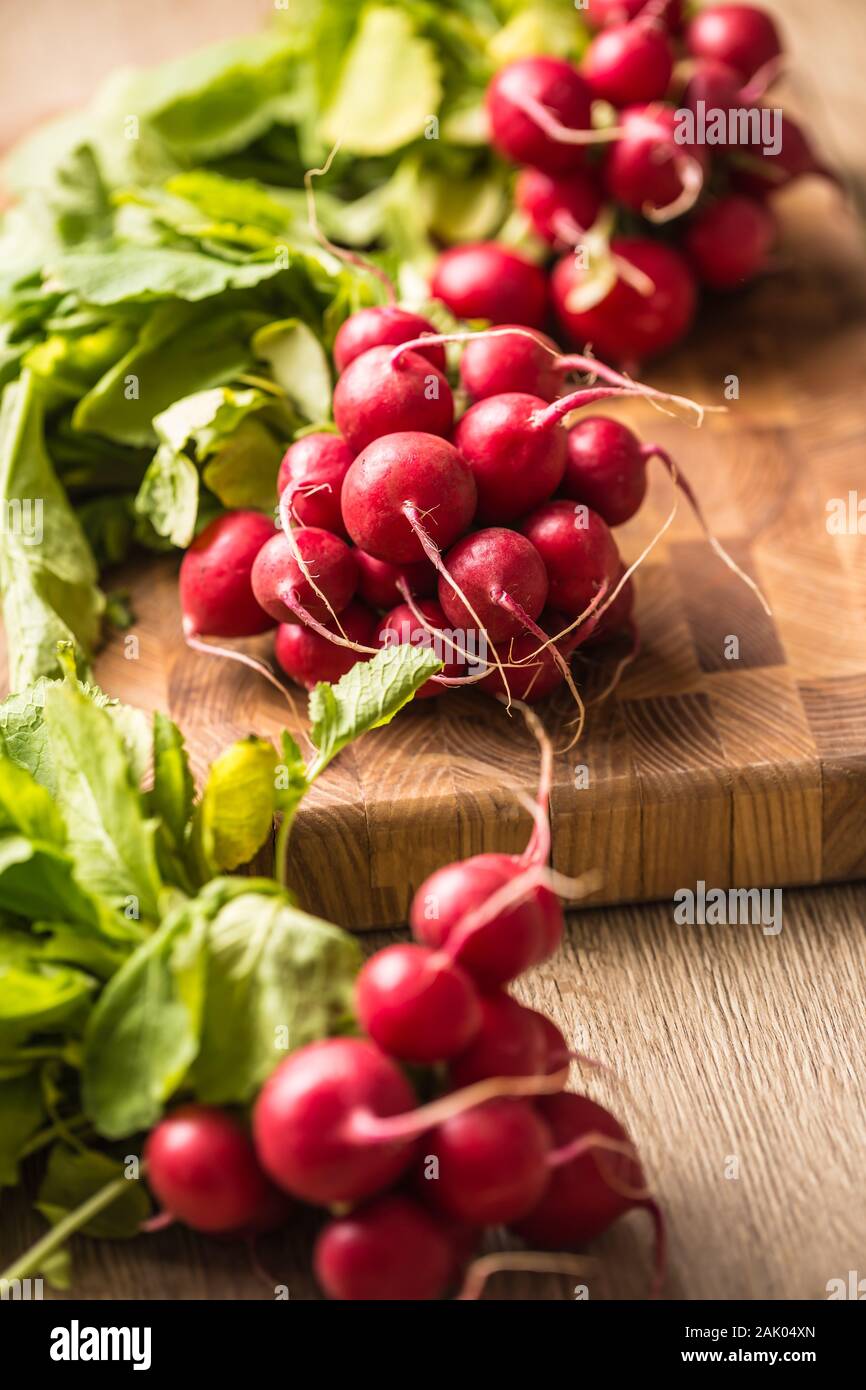 Fresh bundles of radish laid on a kitchen table Stock Photo