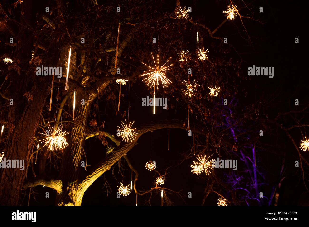 Christmas lights on display at Winter Wonderland Holiday Lights at