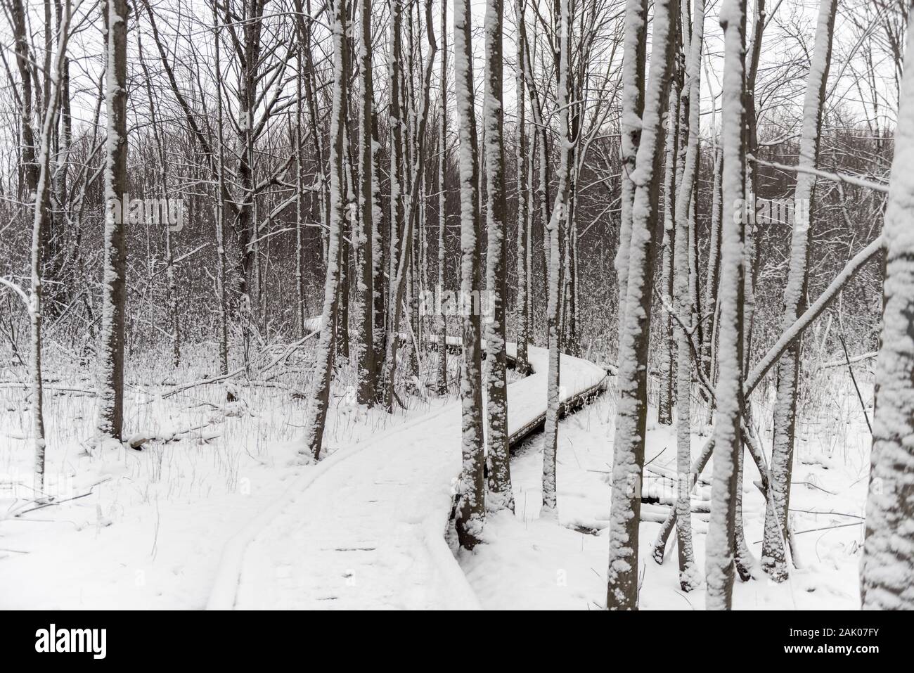 Sifton london canada hires stock photography and images Alamy