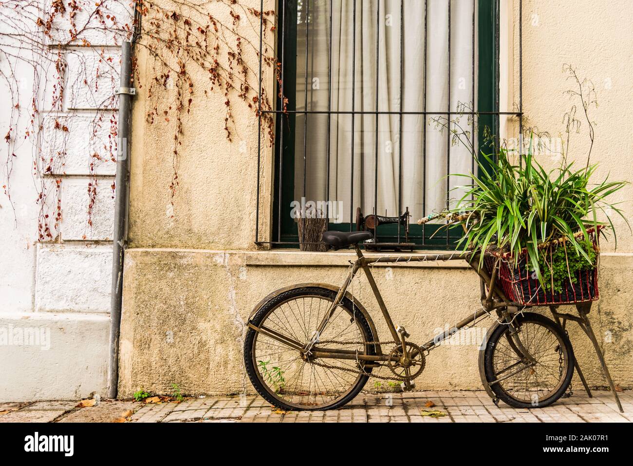 A retro vintage old bicycle against the wall of a colonial and colorful ... - A Retro Vintage OlD Bicycle Against The Wall Of A Colonial AnD Colorful House 2AK07R1