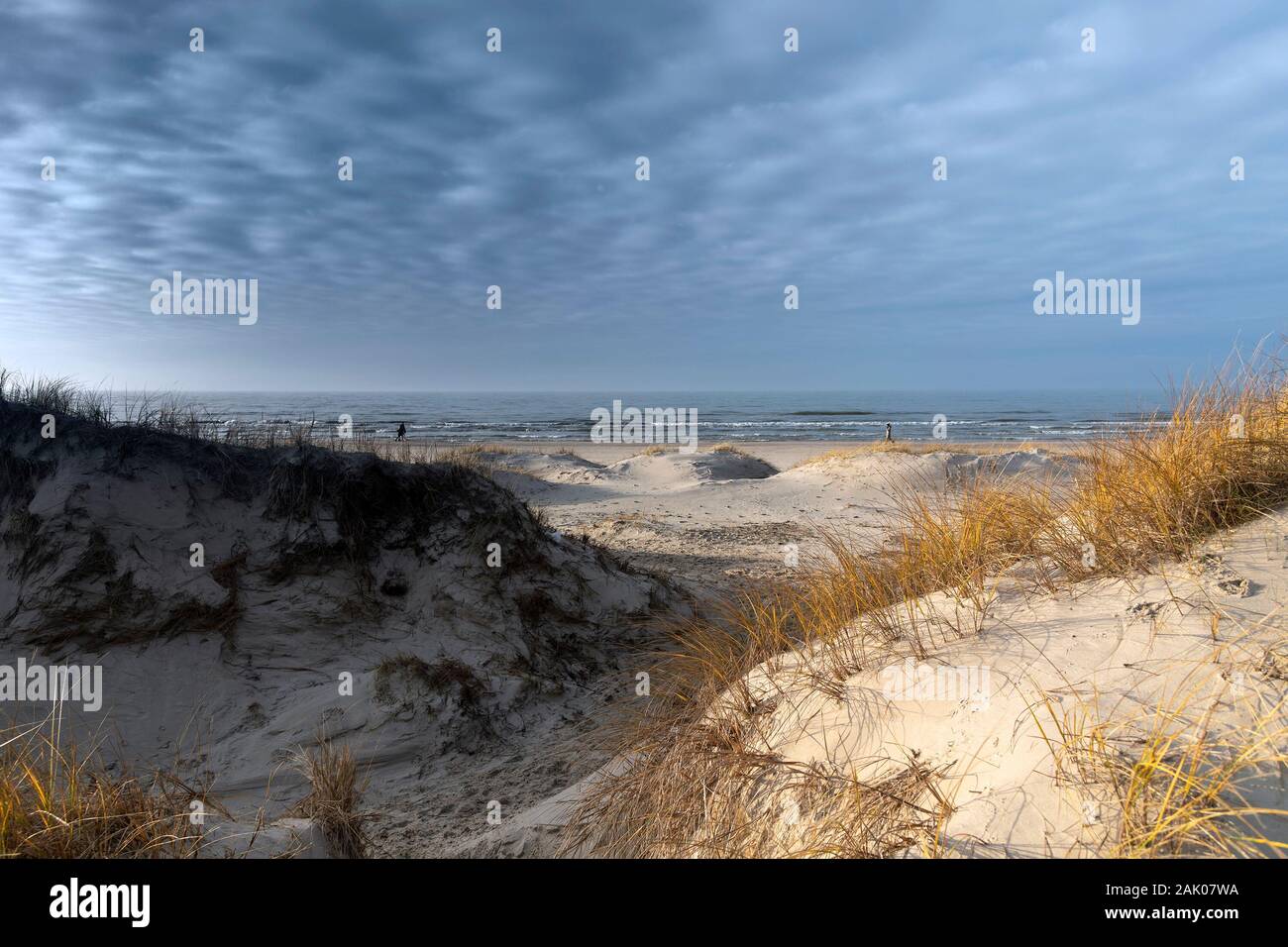 dunes-by-baltic-sea-in-winter-liepaja-latvia-stock-photo-alamy