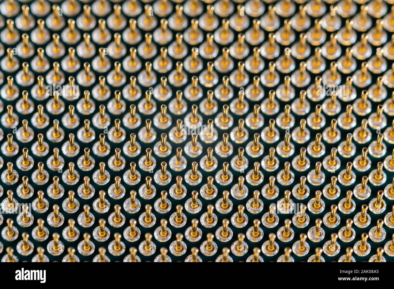 Close-up full frame view of gold plated microprocessor pin array. Abstract electronic technological background with selective focus. Stock Photo