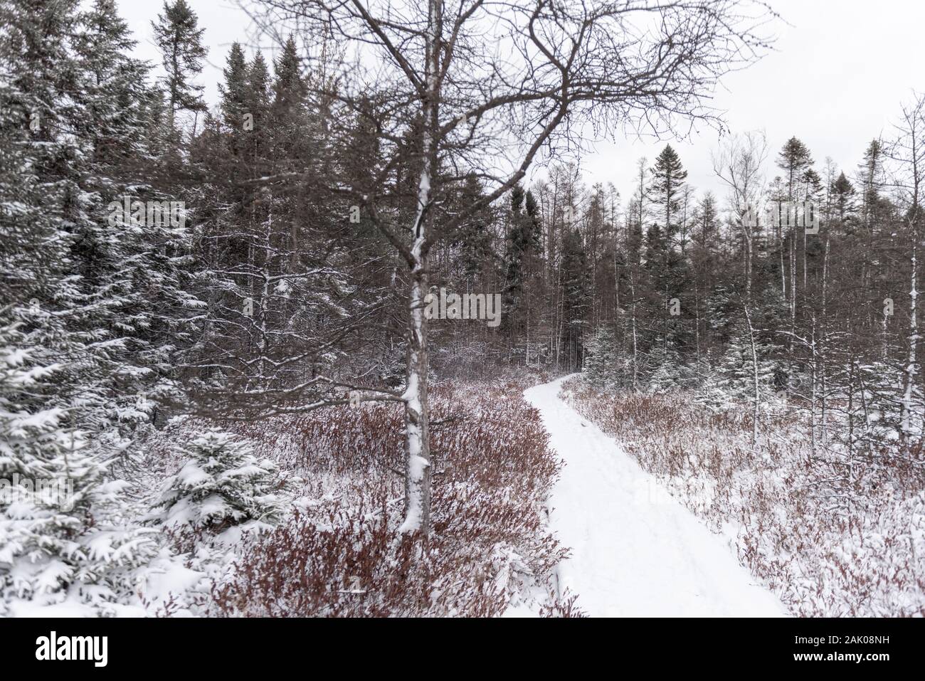 Sifton london ontario hires stock photography and images Alamy