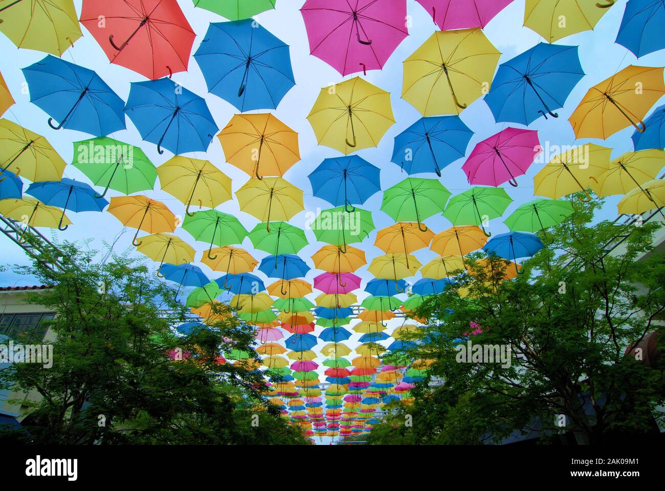 Umbrellas over the trees in Coral Gables Stock Photo