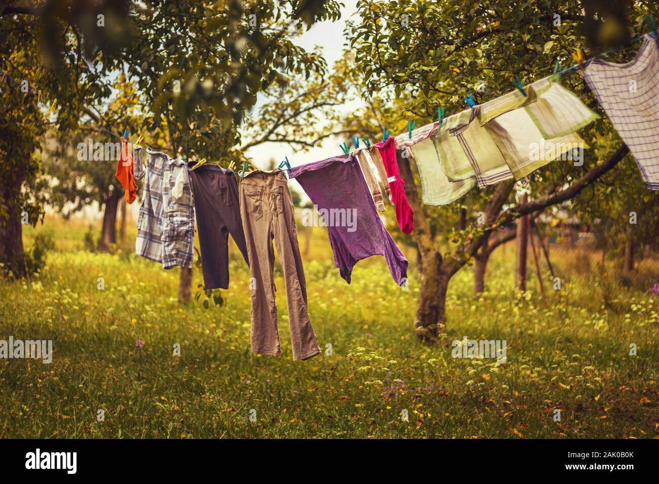 hanging laundry - color clothes hanging on a clothesline, between apple trees in the rural garden Stock Photo