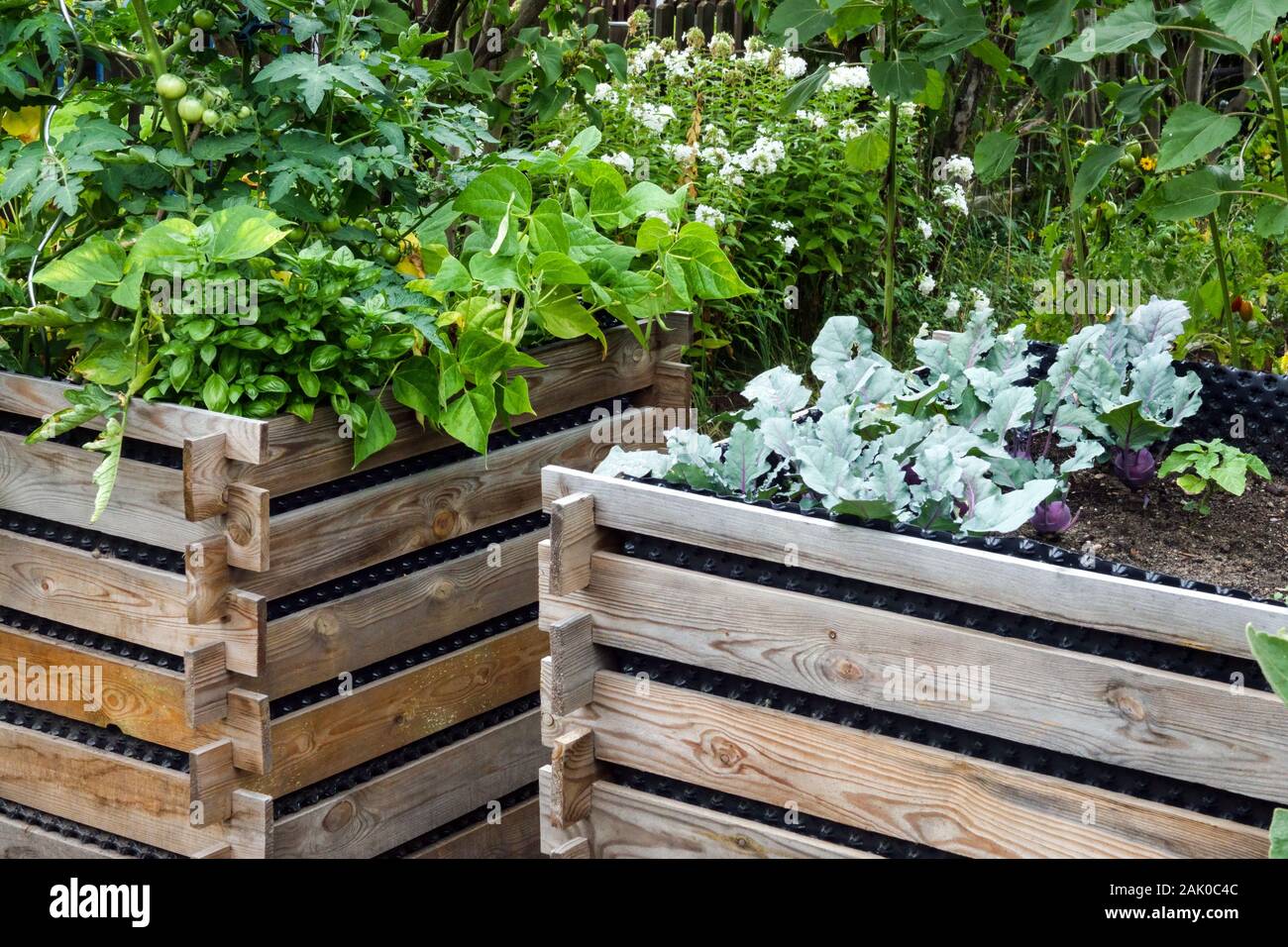 Raised beds growing vegetables hi-res stock photography and images - Alamy
